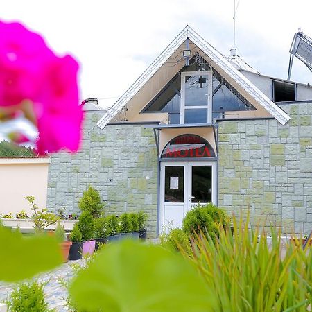 Hostel Shatrata Bogomilovo Zewnętrze zdjęcie